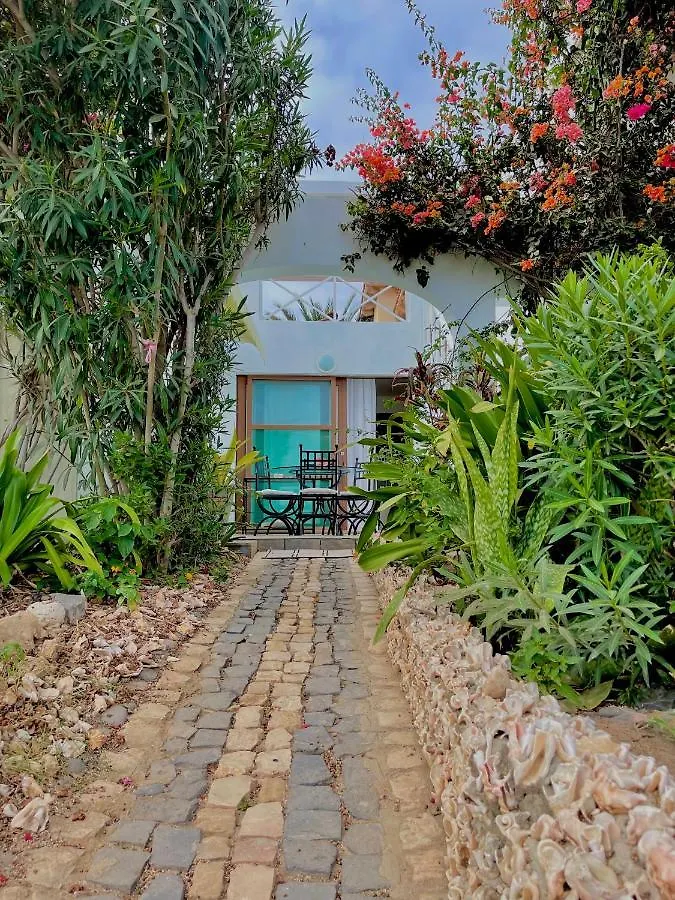 Beautiful Apartment 2 Steps From The Water Santa Maria