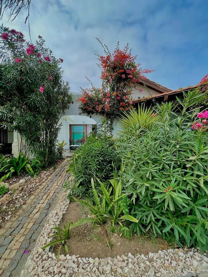 Beautiful Apartment 2 Steps From The Water Santa Maria